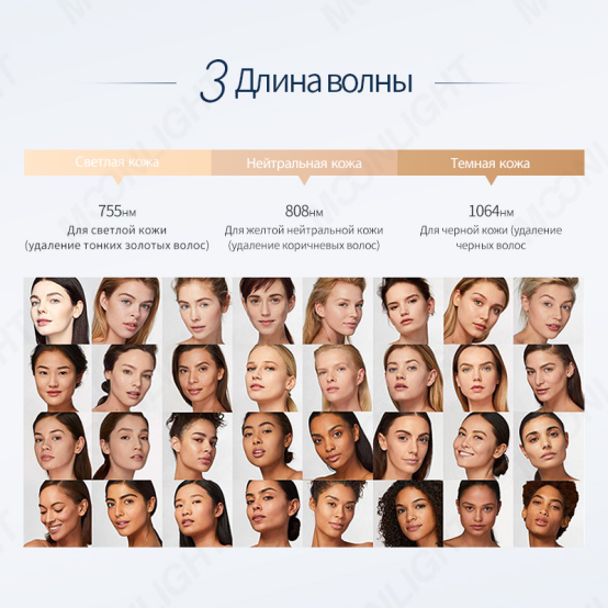 product-554-554 product-554-554
